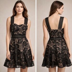 Blondie Nites‎ Elegant Black and cream floral Lace fit & flare, Mini Dress NWOT